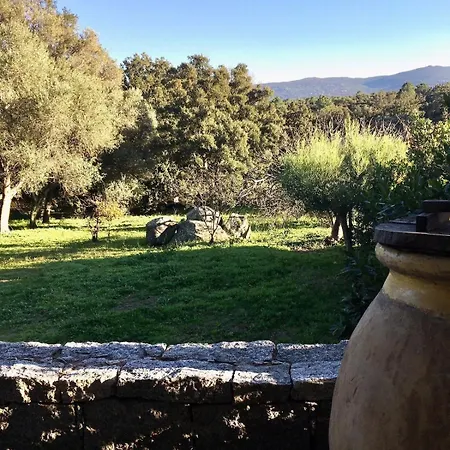 Village Sheepfold With Large Garden Feriehus Porto-Vecchio (Corsica)